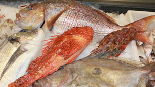 Pescaderia-peixateria-tienda-marisco-pescado-primera-calidad-Port-Soller-Mallorca-Islas-Baleares-calidad