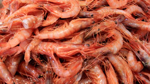 Pescaderia-peixateria-tienda-marisco-pescado-primera-calidad-Port-Soller-Mallorca-Islas-Baleares-calidad2